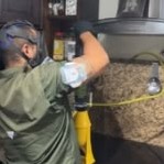 Aplicación de insecticida en polvo en cocina