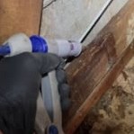 Inyección en madera infestada